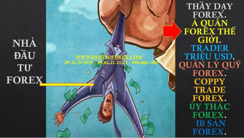 THỊ TRƯỜNG FOREX DỄ KIẾM TIỀN LẮM THẾ NÊN CÓ GIÁM CHỨNG MINH THỰC TẾ ĐÂU