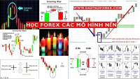 HỌC FOREX MÔ HÌNH NÊN