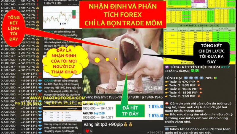 NHẬN ĐỊNH VÀ PHẤN TÍCH FOREX CHỈ LÀ BỌN TRADE MÕM