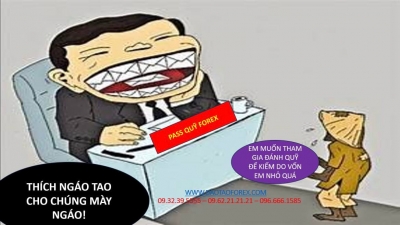 PASS QUỸ FOREX TIỀN MUA T&Agrave;I KHOẢN QUỸ GAME SHOW Đ&Oacute; NẾU BIẾT Đ&Aacute;NH DƯ C&Oacute; LỢI NHUẬN