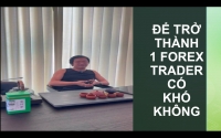 Đ&Atilde; THAM GIAO GIAO DỊCH FOREX TUYỆT ĐỐI KH&Ocirc;NG NHẬN K&Eacute;O V&Agrave; CHIẾN LƯỢC FOREX