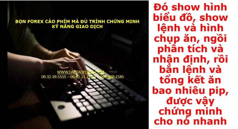 BỌN FOREX CÀO PHÍM MÀ ĐỦ TRÌNH CHỨNG MINH KỸ NĂNG GIAO DỊCH
