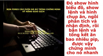 BỌN FOREX CÀO PHÍM MÀ ĐỦ TRÌNH CHỨNG MINH KỸ NĂNG GIAO DỊCH