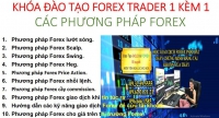 KHÓA ĐÀO TẠO FOREX TRADER 1 KÈM 1