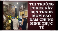 FOREX KHÔNG PHẢI NƠI CHO BỌN MÕM GÁY ĐÓ LÀ THỊ TRƯỜNG CỦA SỰ CHỨNG MINH