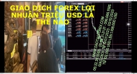 GIAO DỊCH FOREX LỢI NHUẬN TRIỆU USD LÀ THẾ NÀO