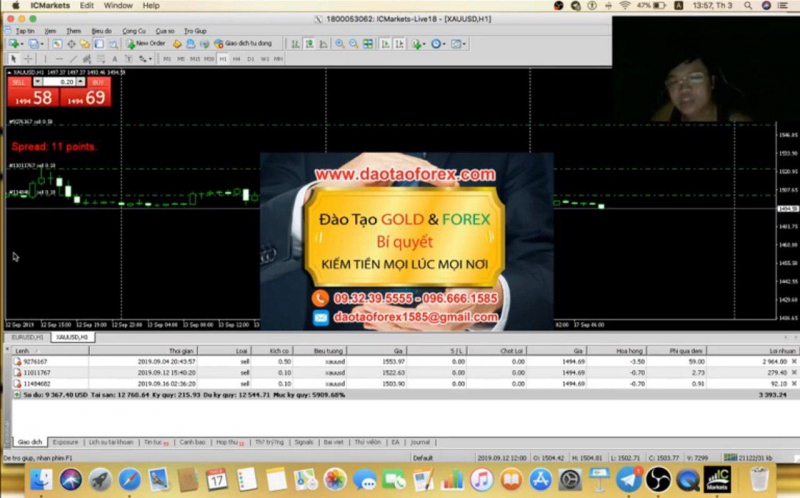 Mọi kiến phương pháp giao dịch Forex trên thị trường