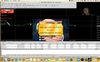 Mọi kiến phương pháp giao dịch Forex trên thị trường