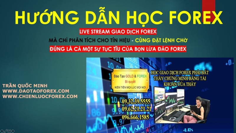 LIVE STREAM GIAO DỊCH FOREX THẾ NÀO LÀ ĐÚNG