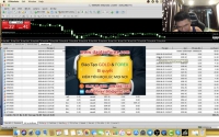 GIAO DỊCH FOREX VÀI CHỤC USD CÓ THỂ HAY KHÔNG