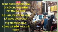 GIAO DỊCH FOREX KHÔNG CÓ CHUYỆN ĐẾM PIP MÀ RA TIỀN NHÉ