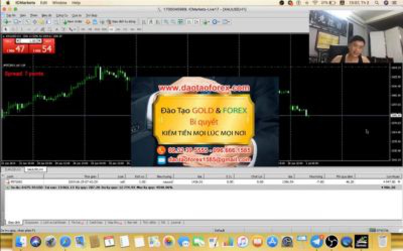 Trên thị trường Forex biết bao kẻ tự nhận