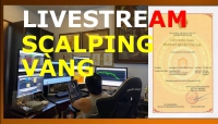 LIVESTREAM SCALPING VÀNG