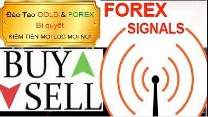 DỊCH VỤ CUNG CẤP TÍN HIỆU FOREX