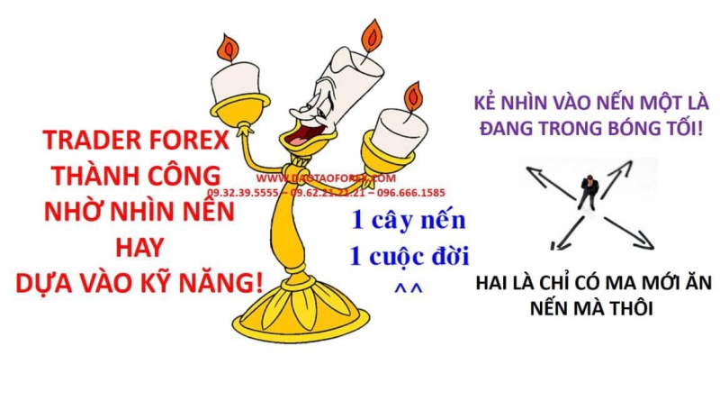BẠN SẼ RA SAO NẾU TRỞ THÀNH MỘT TRADER FOREX