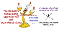 BẠN SẼ RA SAO NẾU TRỞ THÀNH MỘT TRADER FOREX