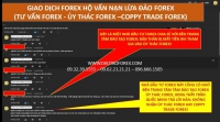 GIAO DỊCH FOREX HỘ VẤN NẠN LỪA ĐẢO FOREX