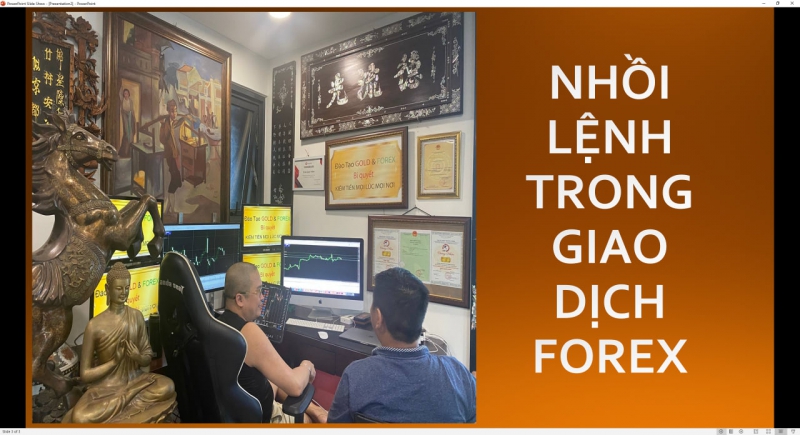 LỢI NHUẬN TRONG GIAO DỊCH FOREX CÓ ĐƯỢC NHỜ ĐÂU