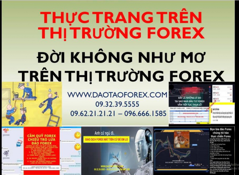 TÌM HIỂU FOREX NHỮNG THỰC TRẠNG