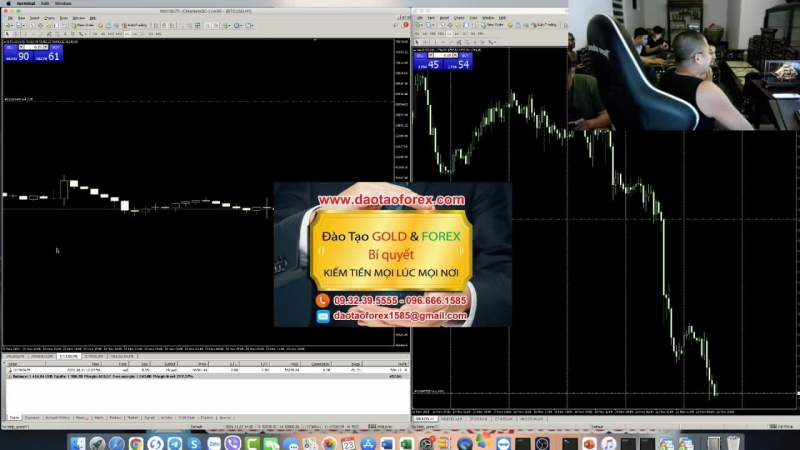 LIVE STREAM GIAO DỊCH FOREX THẾ NÀO LÀ ĐÚNG