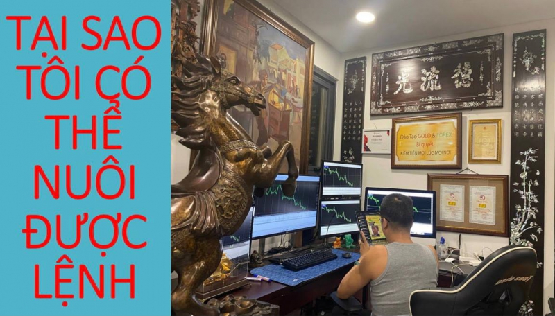 GIAO DỊCH FOREX TẠI SAO NUÔI ĐƯỢC LỆNH