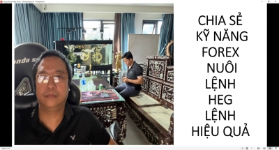TRẦN QUỐC MINH CHIA SẺ KỸ NĂNG FOREX NU&Ocirc;I LỆNH HEG LỆNH HIỆU QUẢ