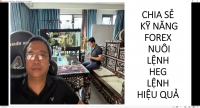 TRẦN QUỐC MINH CHIA SẺ KỸ NĂNG FOREX NU&Ocirc;I LỆNH HEG LỆNH HIỆU QUẢ