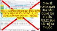 MỘT THẰNG DÙNG TÀI KHOẢN FOREX SÀN CẤP TUỔI ĐÂU SÁNH VỚI NGƯỜI ĐÁNH LIVE THỰC TẾ