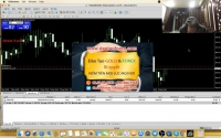 FOREX LỪA ĐẢO LÀ GÌ