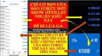 FOREX TRÒ HỀ SHOW TÀI KHOẢN HÌNH CHỤP CỦA BỌN LỪA ĐẢO FOREX