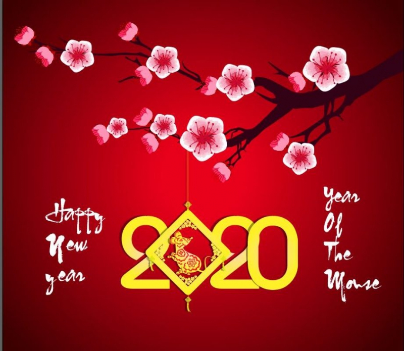 TRUNG TÂM ĐÀO TẠO FOREX CHÚC MÙNG NĂM 2020