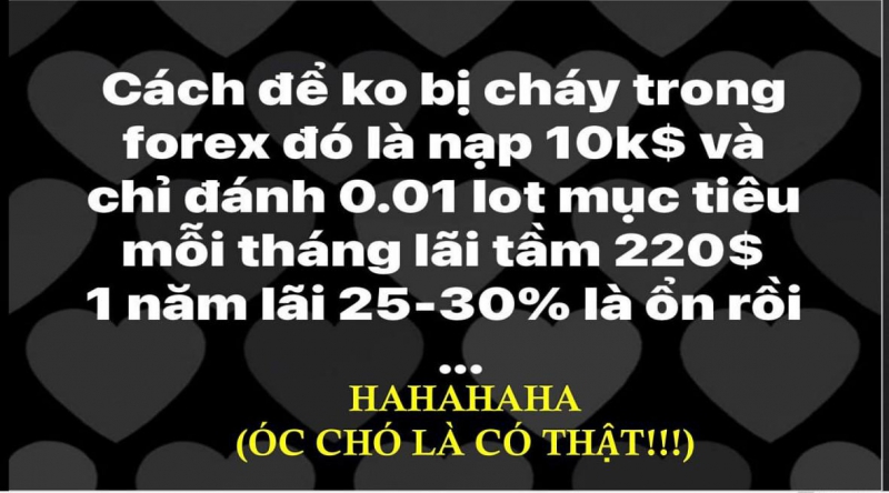 DIỄN ĐÀN FOREX BỌN NGU DƯƠNG KHẨU HIỆU: CÁCH ĐỂ KHÔNG BỊ CHÁY TÀI KHOẢN FOREX LÀ NẠP 10.000 USD RỒI ĐÁNH 0.01L