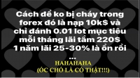 DIỄN ĐÀN FOREX BỌN NGU DƯƠNG KHẨU HIỆU: CÁCH ĐỂ KHÔNG BỊ CHÁY TÀI KHOẢN FOREX LÀ NẠP 10.000 USD RỒI ĐÁNH 0.01L