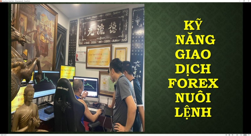 TRẦN QUỐC MINH VỚI KỸ NĂNG GIAO DỊCH FOREX BẮT ĐỈNH BẮT ĐÁY CHỨNG MINH THỰC TẾ