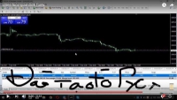 rung tâm đào tạo Forex và đầu tư vàng hôm nay