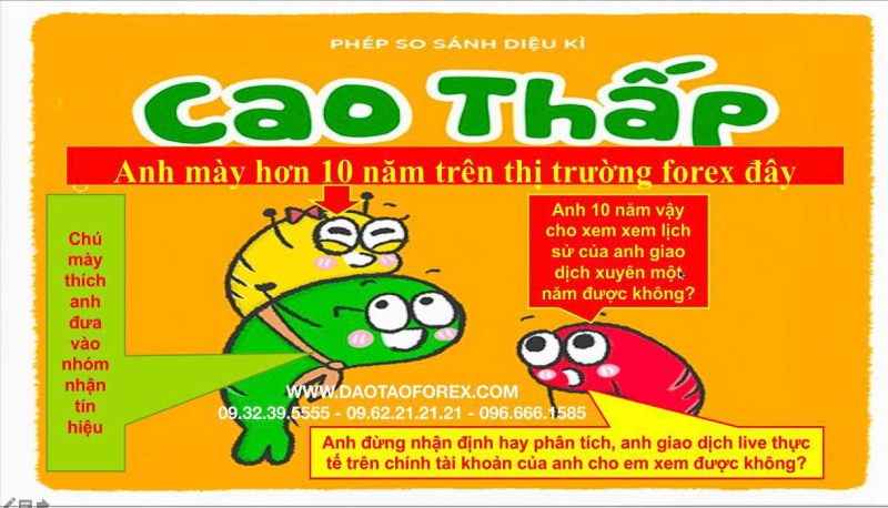TRÌNH ĐỘ CỦA FOREX TRADER