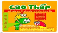 TRÌNH ĐỘ CỦA FOREX TRADER