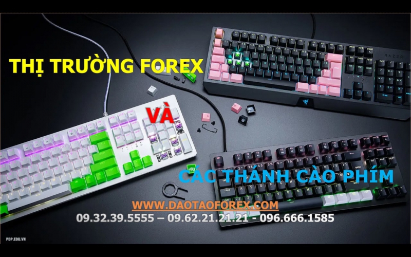 BỌN CÀO PHÍM TRÊN THỊ TRƯỜNG FOREX LÀ THẾ NÀO?
