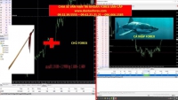 VẤN NẠN NHỮNG KẺ SỬ DỤNG TÀI KHOẢN SÀN FOREX CẤP