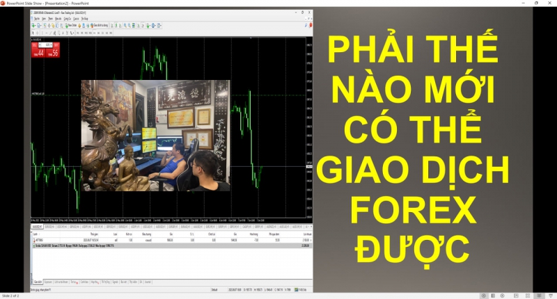 THỊ TRƯỜNG FOREX CÓ NHỮNG THỰC TẾ BẢN THÂN NHÀ ĐẦU TƯ KHÔNG THỂ HOÀN THIỆN ĐƯỢC