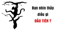 CHIA SẺ FOREX TỪ CÁC KÊNH YOUTUBE THỰC CHẤT LÀ GÌ