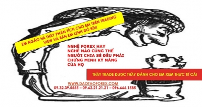NGHỀ FOREX HAY NGHỀ NÀO CŨNG THỂ NGƯỜI CHIA SẺ ĐÊU PHẢI CHỨNG MINH KỸ NĂNG CỦA HỌ