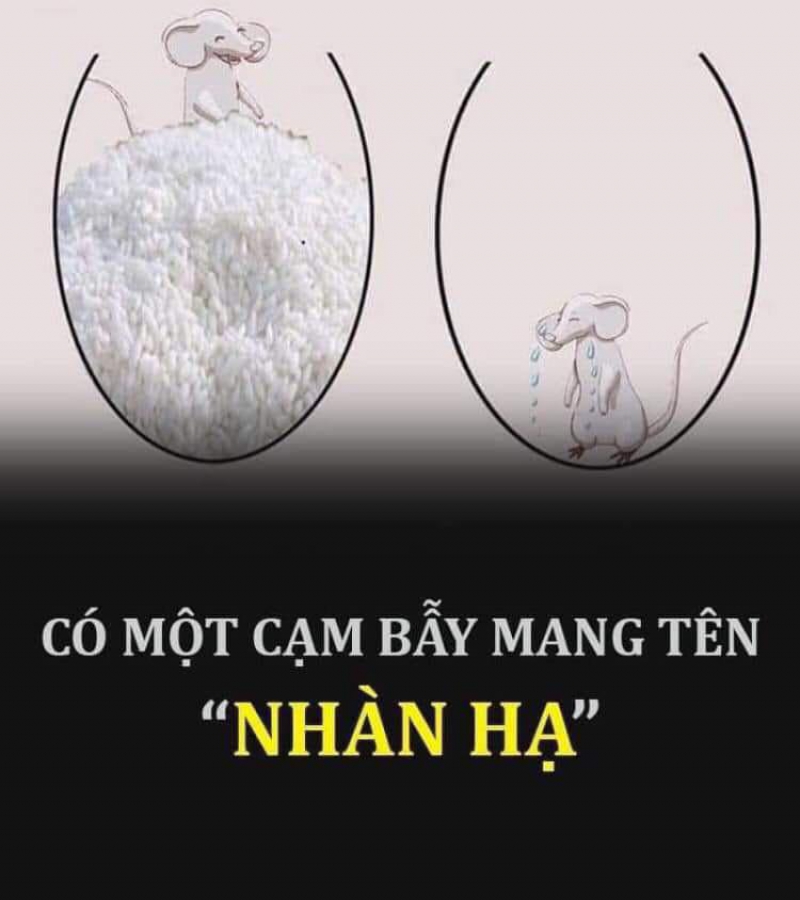 THẦY DẠY FOREX VỚI NHỮNG LỜI THỀ NON HẸN BIÊN ĐỂ BỊP NHÀ ĐẦU TƯ