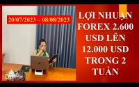 QUẢN LÝ VỐN FOREX TỪ 2.600 USD LỆN 12.000 USD TRONG 2 TUẦN