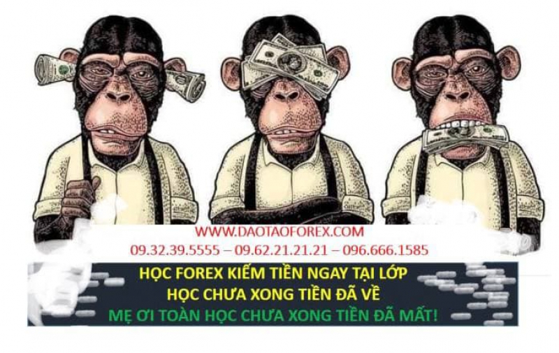 HỌC FOREX KIẾM TIỀN NGAY TẠI LỚP TOÀN BỌN LỪA ĐẢO FOREX