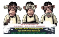 HỌC FOREX KIẾM TIỀN NGAY TẠI LỚP TOÀN BỌN LỪA ĐẢO FOREX