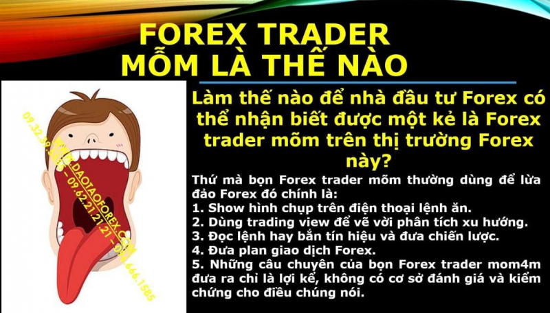FOREX TRADER MỖM LÀ THẾ NÀO