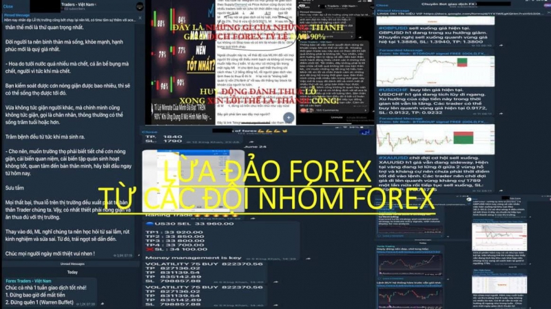 ĐỘI NHÓM FOREX NƠI GIÚP NHÀ ĐẦU TƯ FOREX TAN NHÀ NẤT CỬA