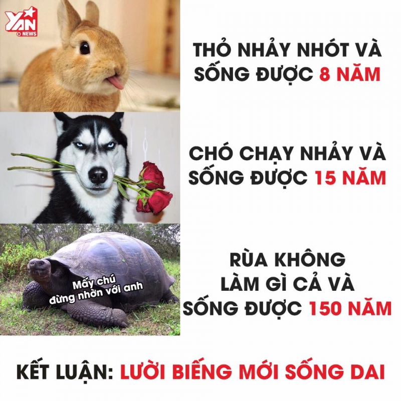 TRADER FOREX CUỘC ĐỜI CỦA CHÍNH HỌ QUYẾT ĐỊNH