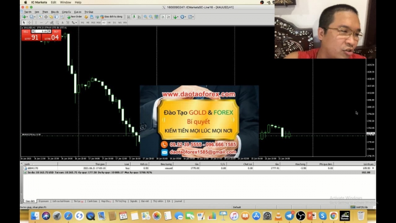 ĐỘI NHÓM FOREX